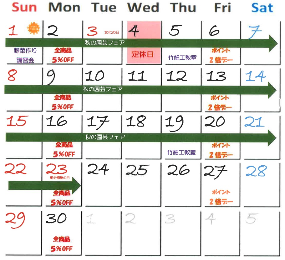 2020年11月