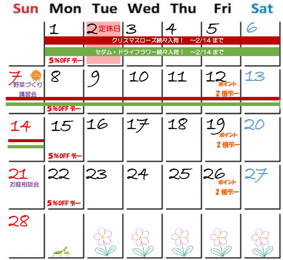 2021年2月